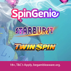Spin Genie
